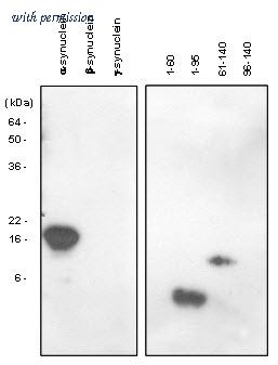 OriGene SM6028S image 1