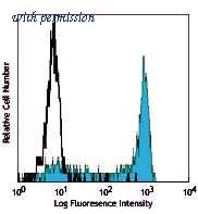 OriGene TA354805 image 1