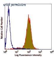 OriGene TA354806 image 1
