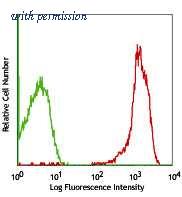 OriGene TA354807 image 1