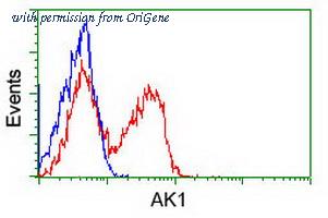 OriGene TA500361S image 1
