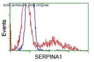 OriGene TA500374S image 1