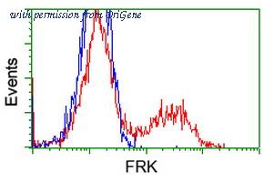 OriGene TA500526S image 1