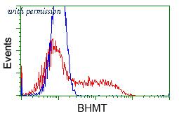 OriGene TA500959S image 1