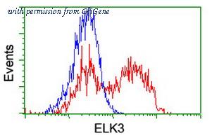 OriGene TA503603S image 1
