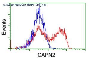 OriGene TA504345S image 1