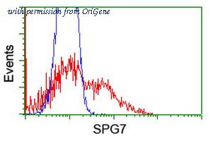 OriGene TA504421S image 1