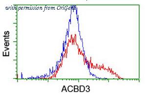 OriGene TA504822BM image 1