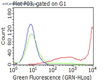 OriGene TA802409AM image 1