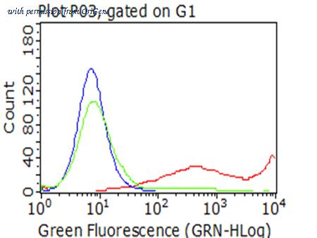 OriGene TA802410AM image 1