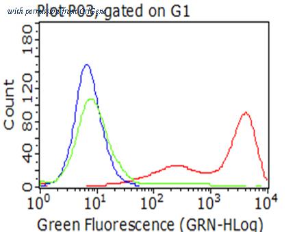 OriGene TA802424BM image 1