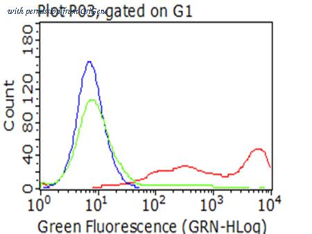 OriGene TA802428AM image 1