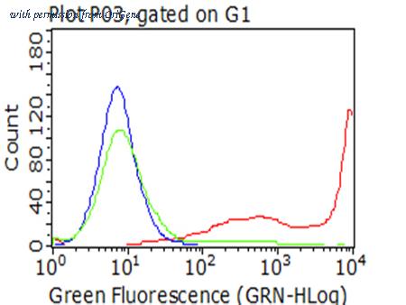 OriGene TA802439AM image 1