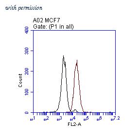 OriGene TA808698S image 1