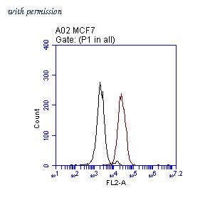 OriGene TA808699S image 1