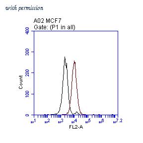 OriGene TA808700S image 1