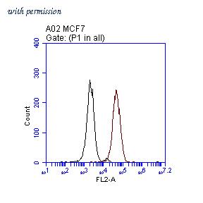 OriGene TA808702S image 1