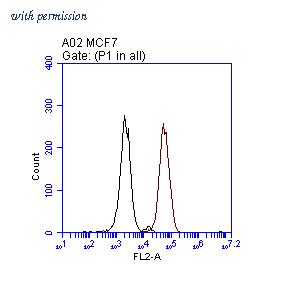 OriGene TA808703S image 1