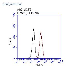OriGene TA808704S image 1