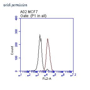 OriGene TA808705S image 1