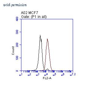 OriGene TA808706S image 1