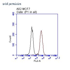 OriGene TA808707S image 1