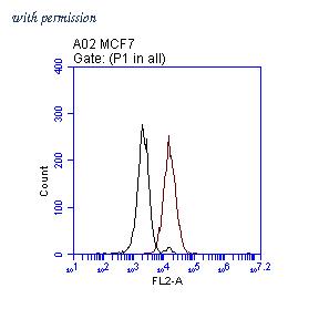 OriGene TA808708S image 1