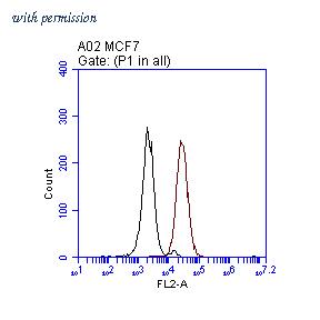 OriGene TA808709S image 1