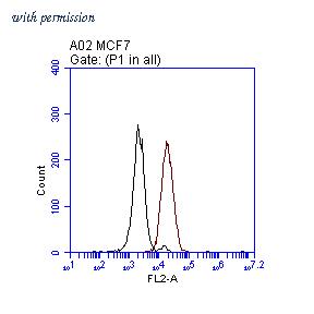 OriGene TA808711S image 1