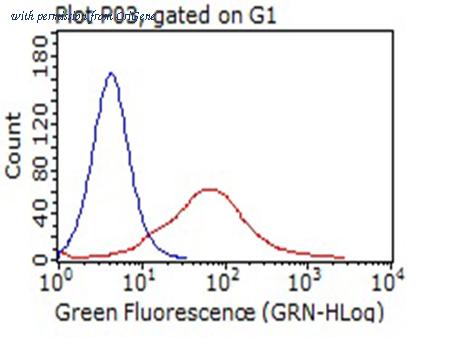 OriGene TA812251 image 1