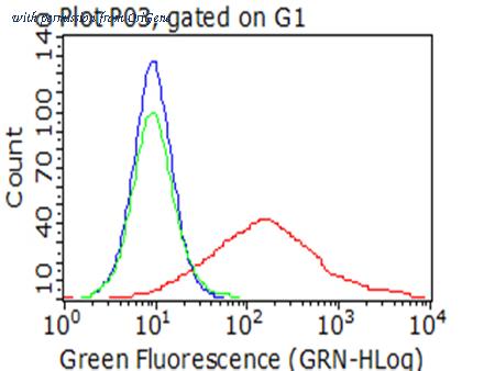 OriGene TA813020 image 1