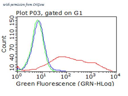 OriGene TA813212 image 1