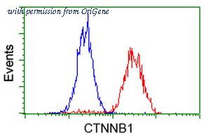 OriGene UM500015CF image 1