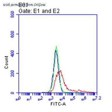 OriGene CF814060 image 1