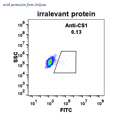 OriGene TA355169 image 1