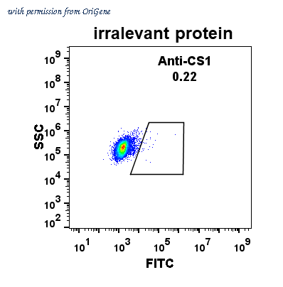 OriGene TA355171 image 1