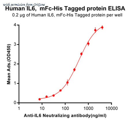 OriGene TA355199 image 1