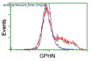 OriGene TA502247BM image 1
