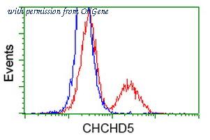 OriGene TA502422AM image 1