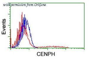 OriGene TA503872AM image 1