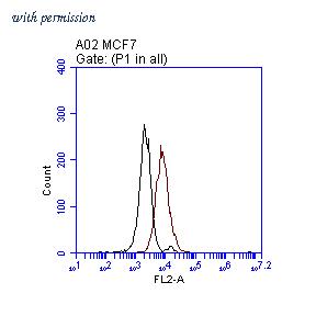 OriGene TA808701AM image 1