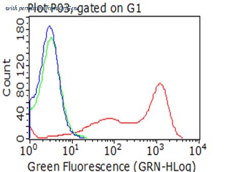 OriGene TA812577AM image 1