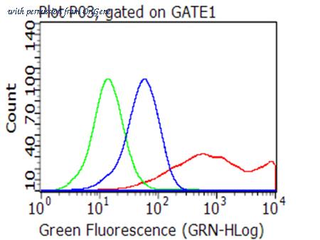 OriGene TA812678AM image 1