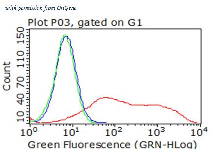 OriGene TA813209AM image 1