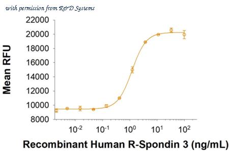 R&D Systems 3500-RS-025/CF image 1