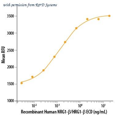 R&D Systems 377-HB-050/CF image 1