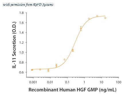 R&D Systems 294-GMP-025 image 1