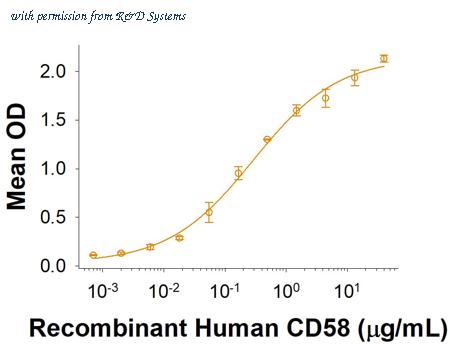 R&D Systems 10213-CD-050 image 1