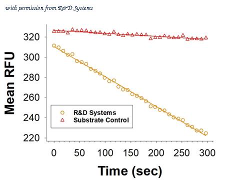 R&D Systems 10316-OD-020 image 1