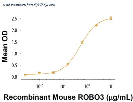 R&D Systems 3155-RB-050 image 1